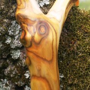 Natural Slingshots