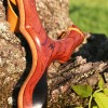 Signature Slingshots