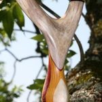 “The Custom Antler Experiment”