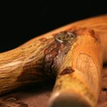 FlippinOut Mesquite SuperNatural