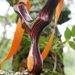 Omega- winewood/ olivewood multiplex with Osage Palm swell
