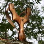The very first Peerless- ambrosia maple, ipe, and Staghorn Sumac palmswell