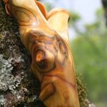 Staghorn Sumac natural ergo
